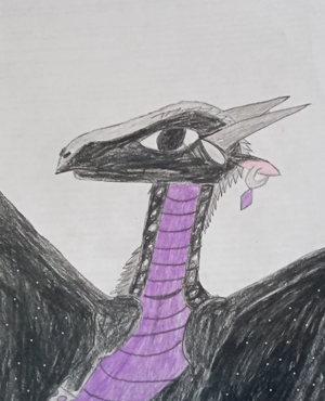 Раконизация Кометы.jpg