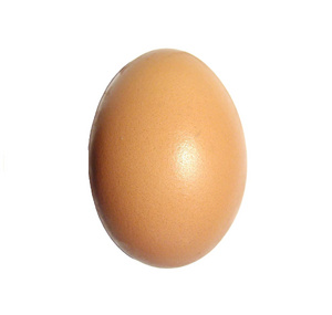 Egg.jpg