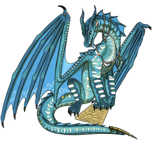 Оралл раскраска.png