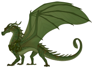 Белладонна референс.png