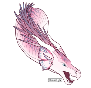 Ez nazvania25 20241222161838.png