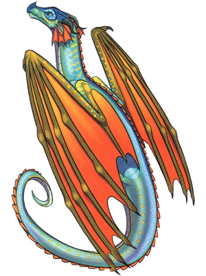 Реола раскраска.png