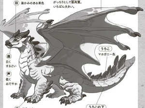 Японская книга иллюстрация 6.jpg