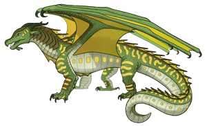 Ерепаха референс.png