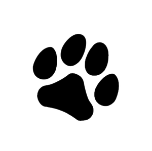 A cat's paw print.png