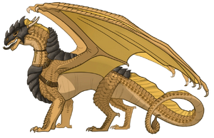 Амум референс.png