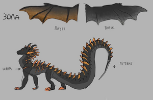 Hoto 2022-06-12 19-51-58.jpg