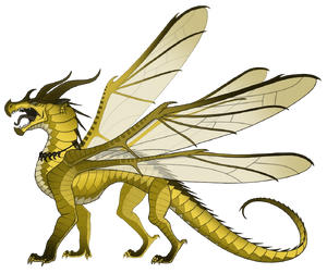 Латка референс.png